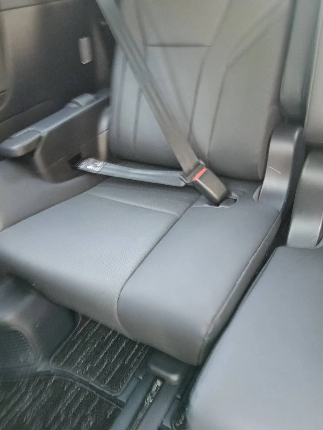 清掃後のアルファード後部座席全体