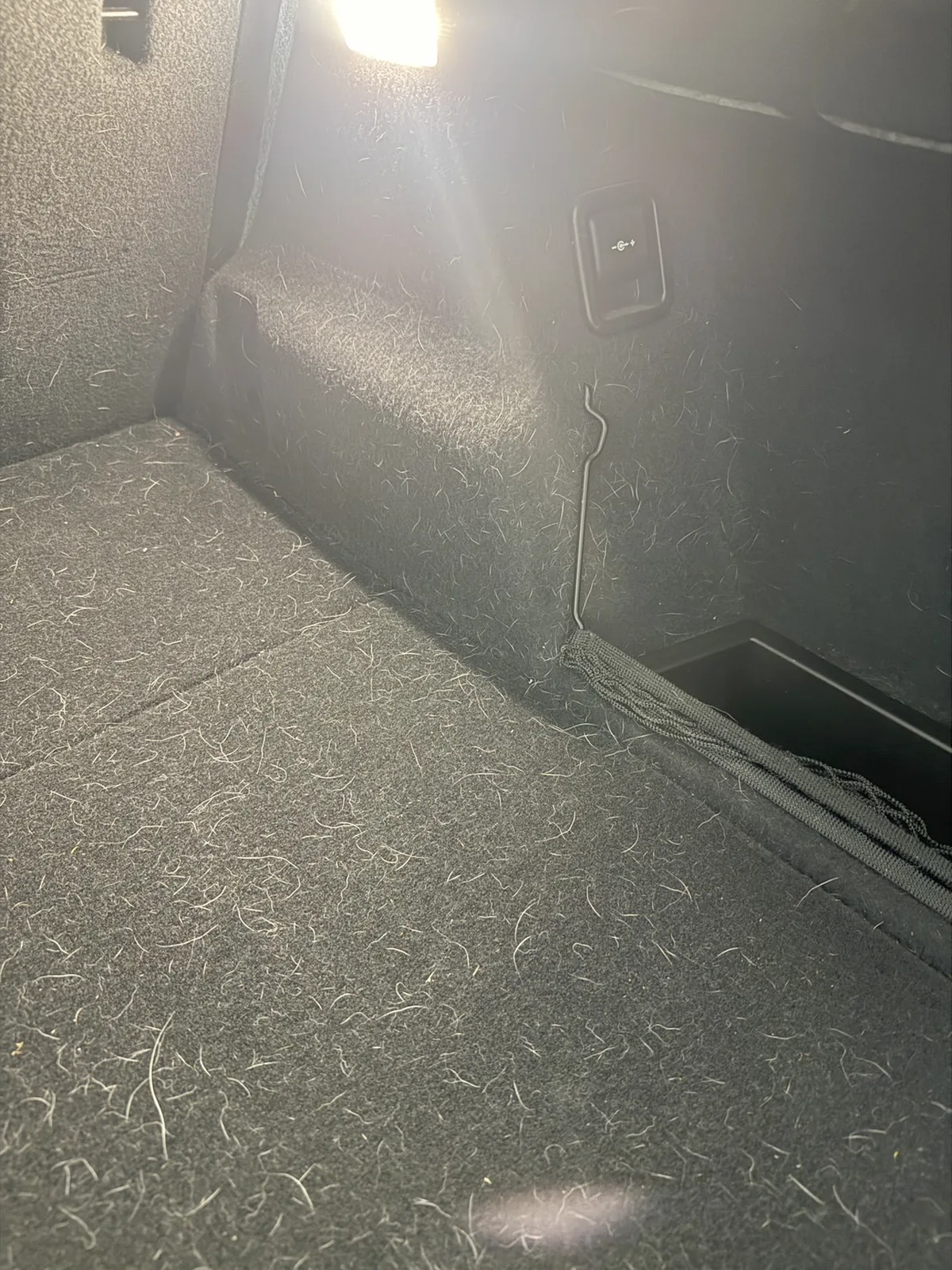 作業前のBMW X1の荷室フロア。カーペット地に毛が一面に付いている