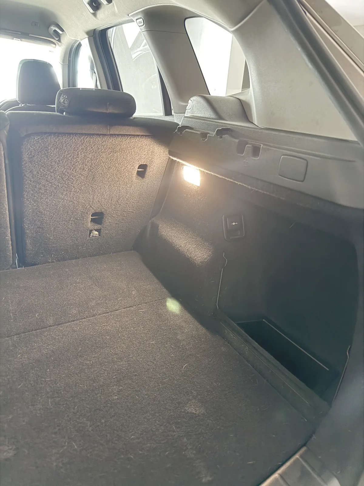 作業前のBMW X1の荷室。後席の背もたれの裏側にも毛が一面に付いている