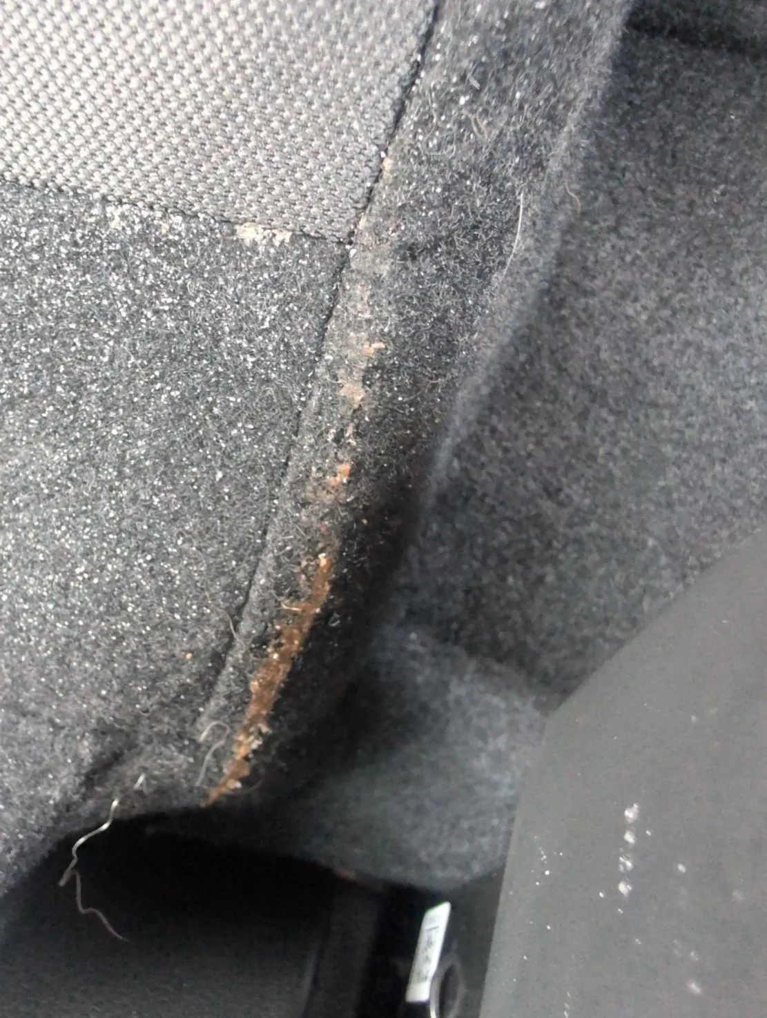 座面の折り目のすじに沿って、橙色から茶色の細かい粒が帯状に入り込んでいる様子