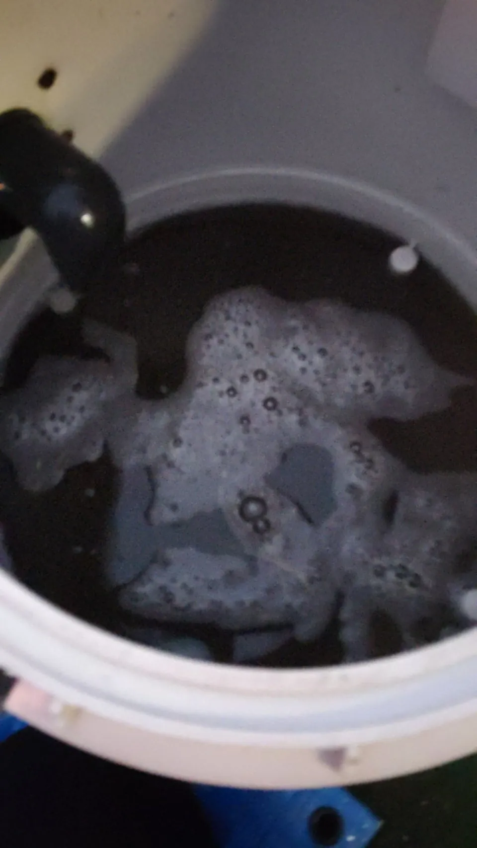 白いバケツの中に、黒く濁った水がたまっている。表面に細かい泡が浮いている