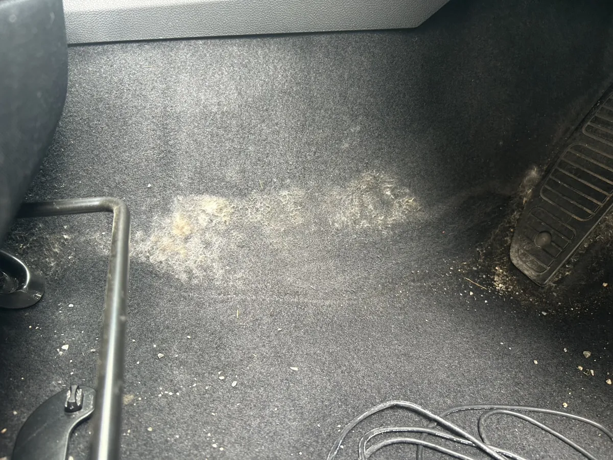 運転席の足元を別角度から見たところ。白い綿状のものが帯のように広がっている