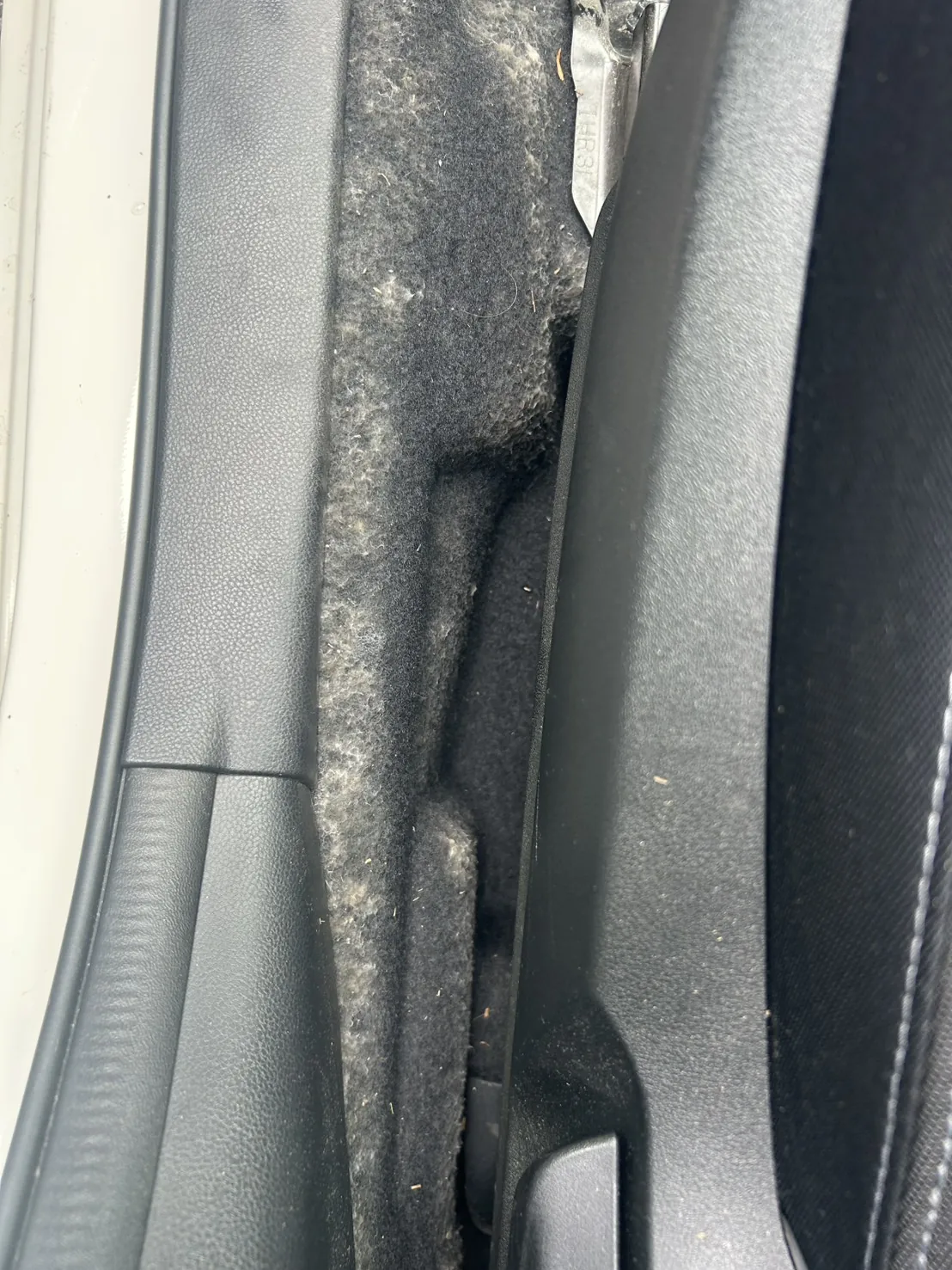 ドア開口部の内側を上から見たところ。カーペットの立ち上がり部分に白い付着が広がる