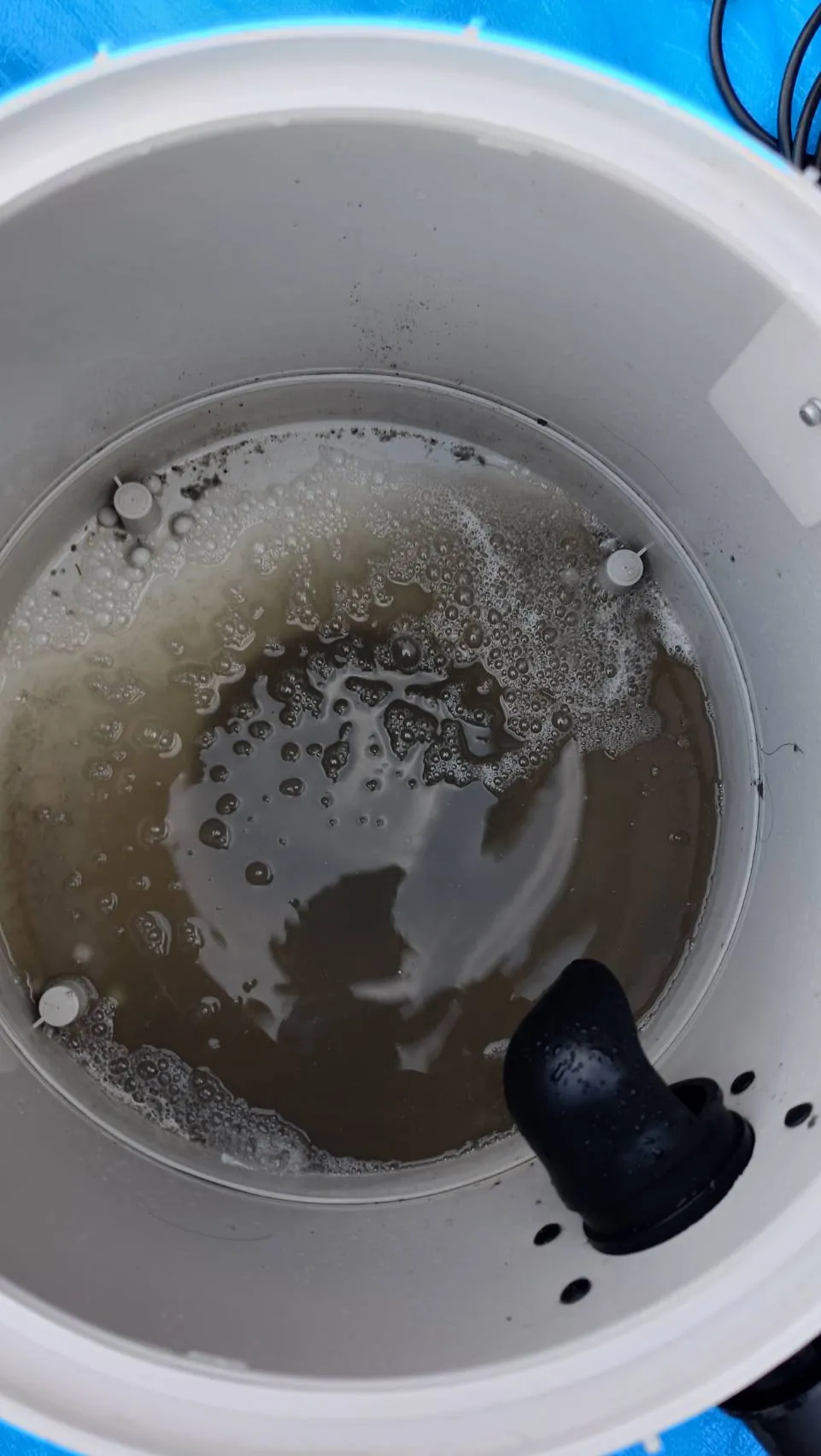リンサークリーナーの回収タンクの中。茶色く濁った汚水が溜まり、表面に泡が浮いている。黒いホース状の部品も写っている