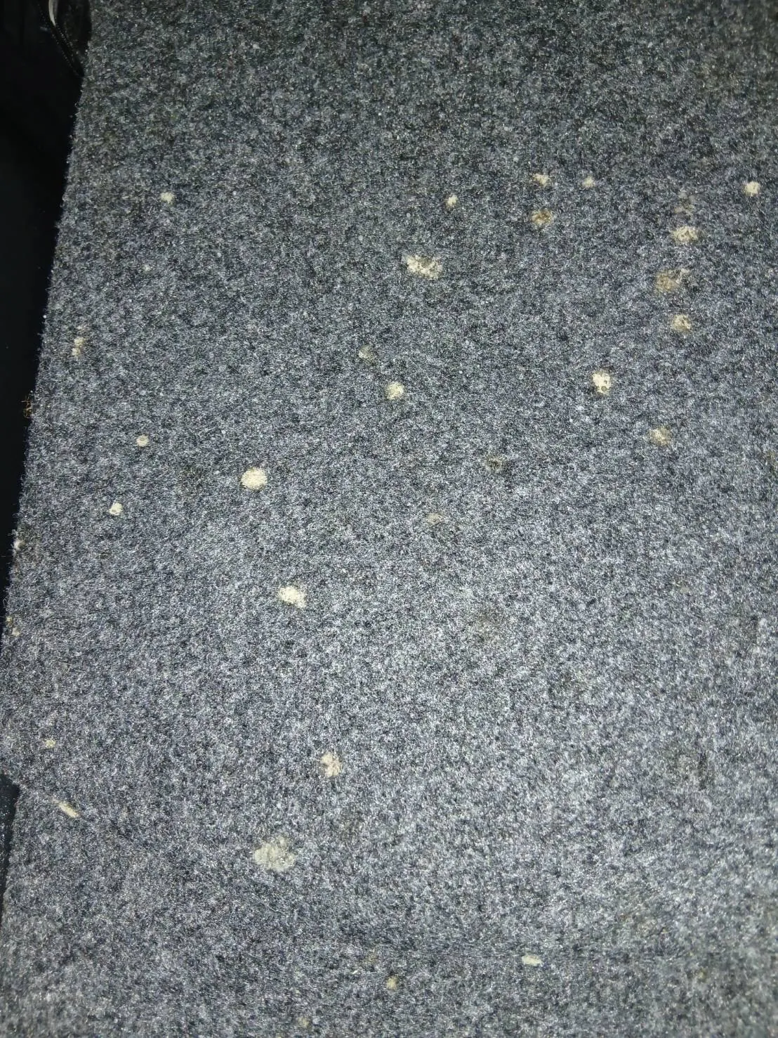作業前の荷室の床。グレーのカーペット地に黄色っぽい粒が散っている