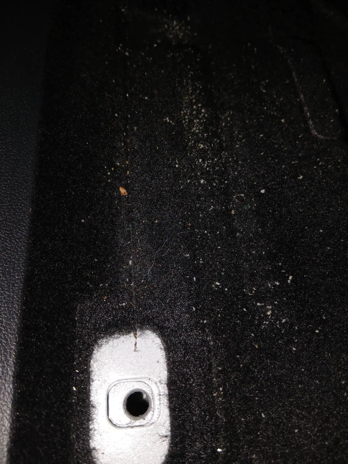 運転席の足元をやや引きで撮ったもの。白っぽい粒と繊維くずが広く散らばっている