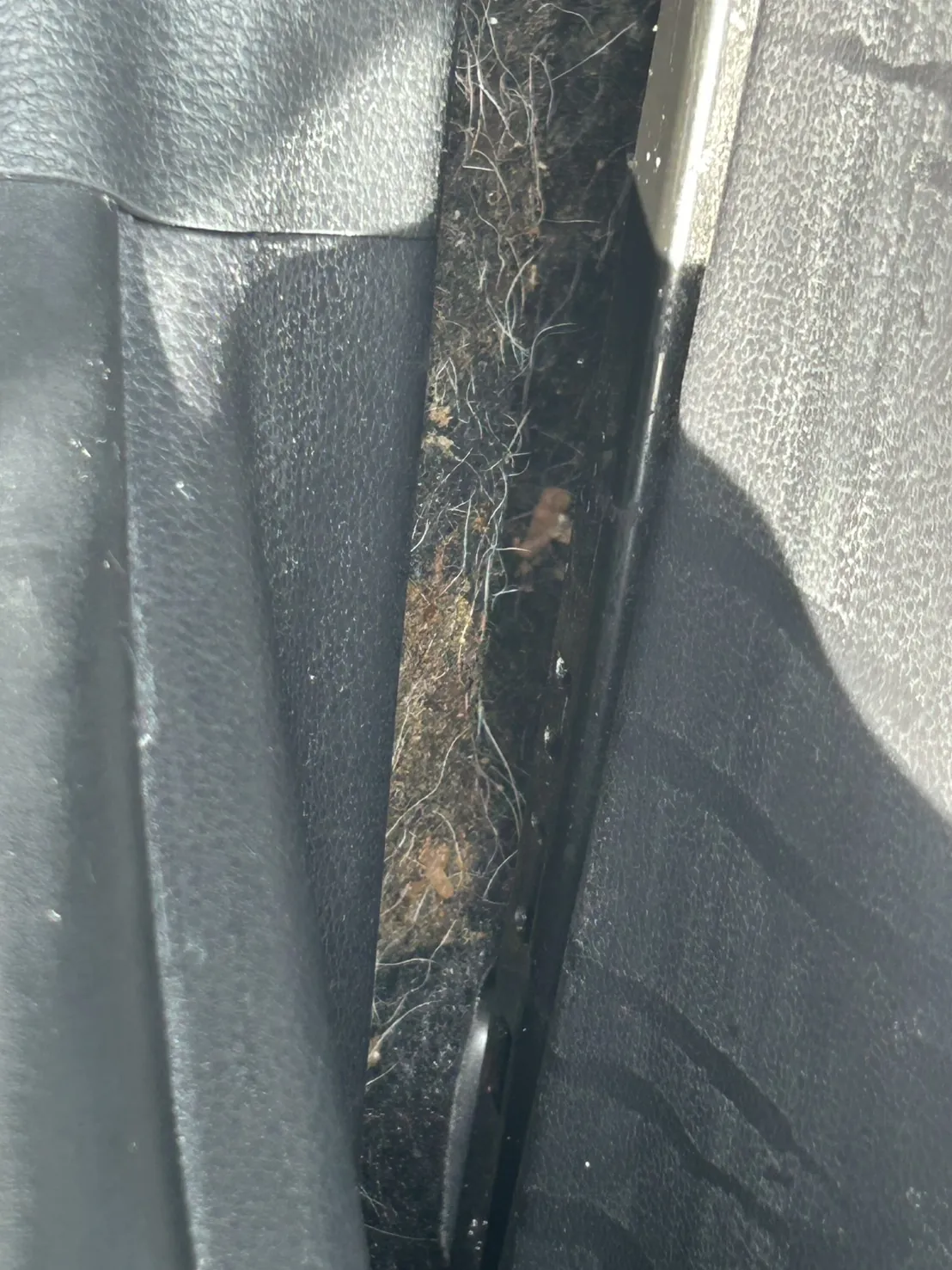 内装の面と面のあいだの細い隙間。奥に茶色い繊維くずと白い糸くず、細かいゴミが詰まっている