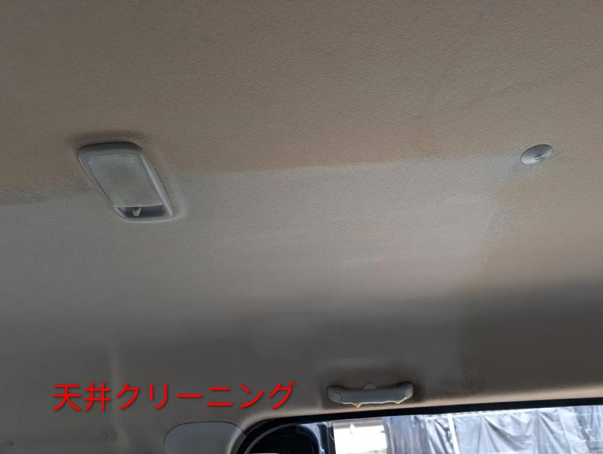 下から見上げた天井。ルームランプとアシストグリップが写り、横に走る境目を境に黄色みが違う